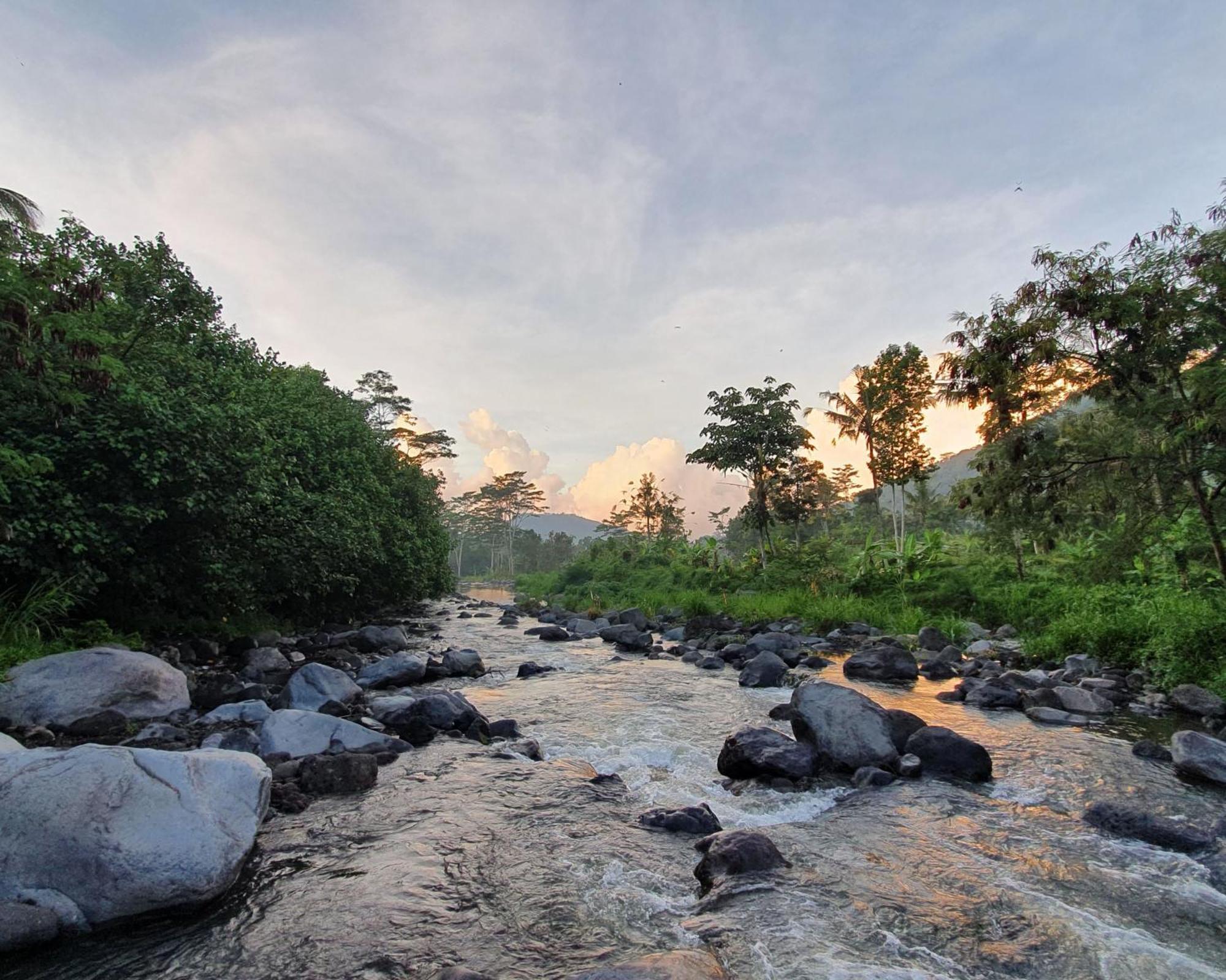 हॉलिडे पार्क Darmada Eco Sidemen (Bali)