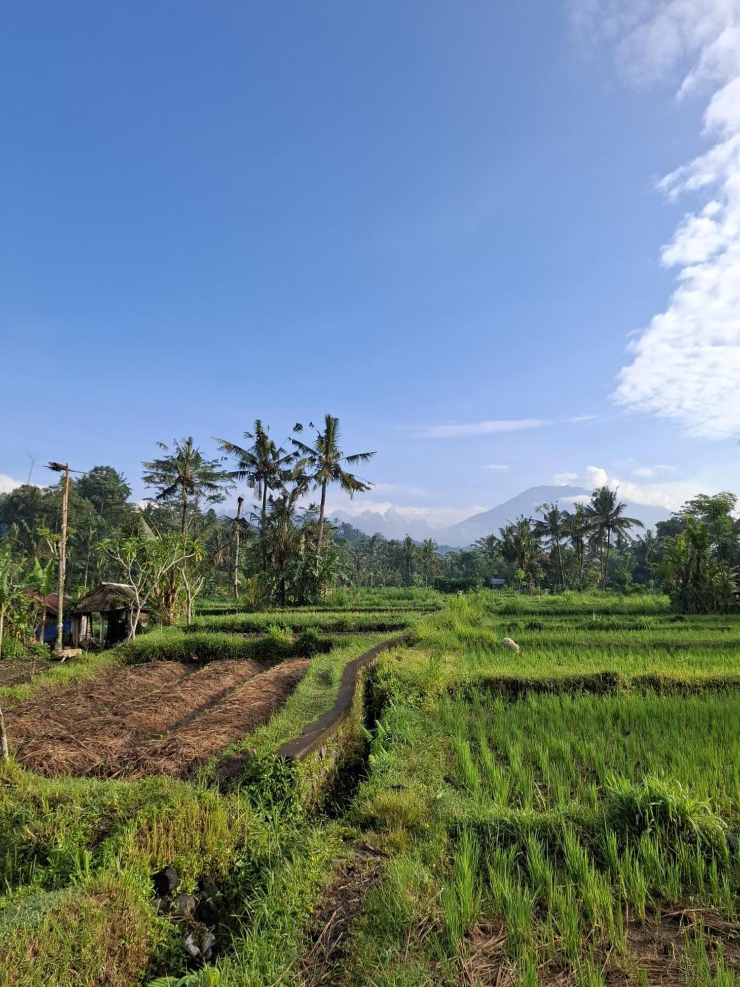 हॉलिडे पार्क Darmada Eco