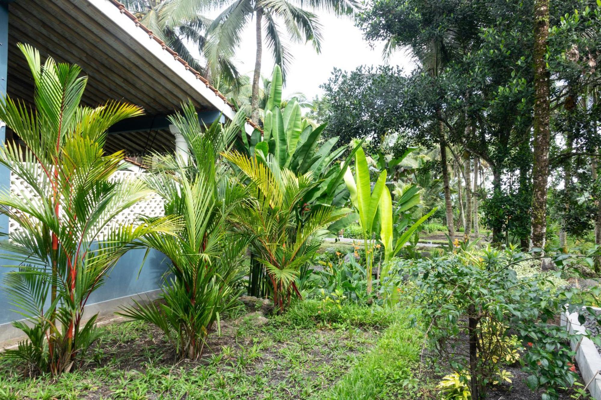 Darmada Eco Taman liburan 4*